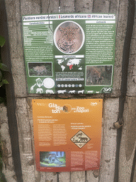 Information on the African Leopard at the Zoo di Napoli