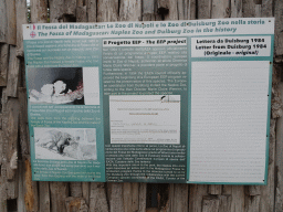 Information on the Fossa at the Naples and Duisburg Zoos at the Zoo di Napoli