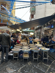 Seafood at the Fish Market at the Via Santi Quaranta street