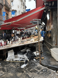 Fish at the Fish Market at the 4a Traversa Garibaldi street