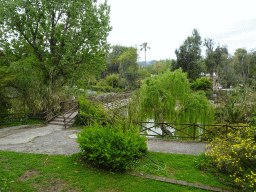 Bridge over the pond at the Zoo di Napoli