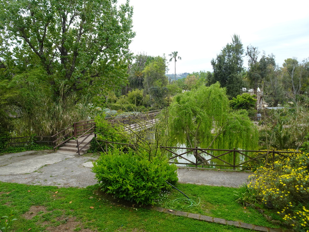 Bridge over the pond at the Zoo di Napoli