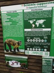 Information on the Capuchin Monkey at the Zoo di Napoli