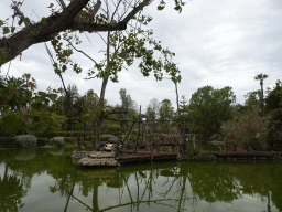 Pond with island with Ring-tailed Lemurs at the Zoo di Napoli