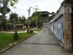 Path along the Goats at the Zoo di Napoli