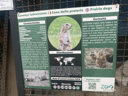 Information on the Prairie Dog at the Zoo di Napoli