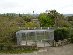 Tiger enclosure at the Zoo di Napoli, viewed from the upper area