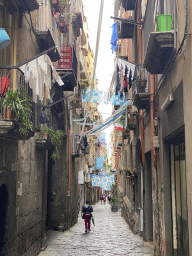 Decorations for SSC Napoli`s third Italian championship at the Via Sapienza street, viewed from the Largo Regina Coeli square