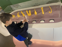 Max with scale models of animal penises at the Corporea building at the east side of the Città della Scienza museum