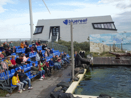 Zookeeper, California Sea Lion and the audience at the Deltapark Neeltje Jans, during the Sea Lion Show