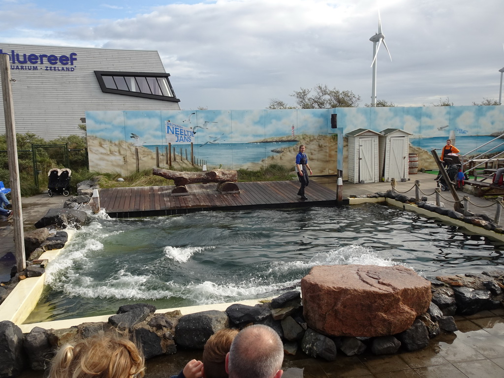 Zookeeper and a swimming California Sea Lion at the Deltapark Neeltje Jans, during the Sea Lion Show