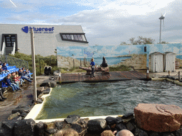 Zookeeper and California Sea Lion at the Deltapark Neeltje Jans, during the Sea Lion Show