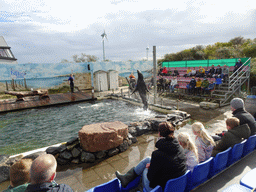 Zookeeper and a jumping California Sea Lion at the Deltapark Neeltje Jans, during the Sea Lion Show