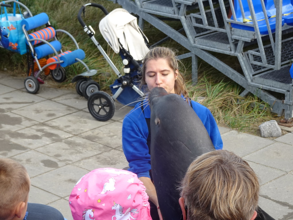 Zookeeper, California Sea Lion and the audience at the Deltapark Neeltje Jans, during the Sea Lion Show