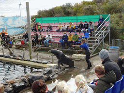 Zookeeper, California Sea Lion and the audience at the Deltapark Neeltje Jans, during the Sea Lion Show