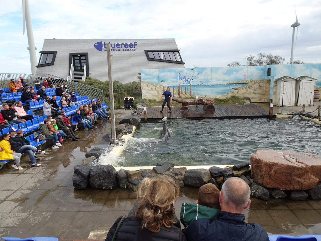 Zookeeper and California Sea Lion playing with a ball at the Deltapark Neeltje Jans, during the Sea Lion Show