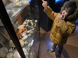 Max with stuffed Crabs and seashells at the Blue Reef Aquarium at the Deltapark Neeltje Jans