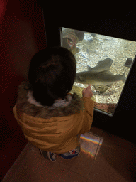 Max with fishes at the Blue Reef Aquarium at the Deltapark Neeltje Jans