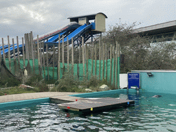 Seals and the Water Slide at the Deltapark Neeltje Jans