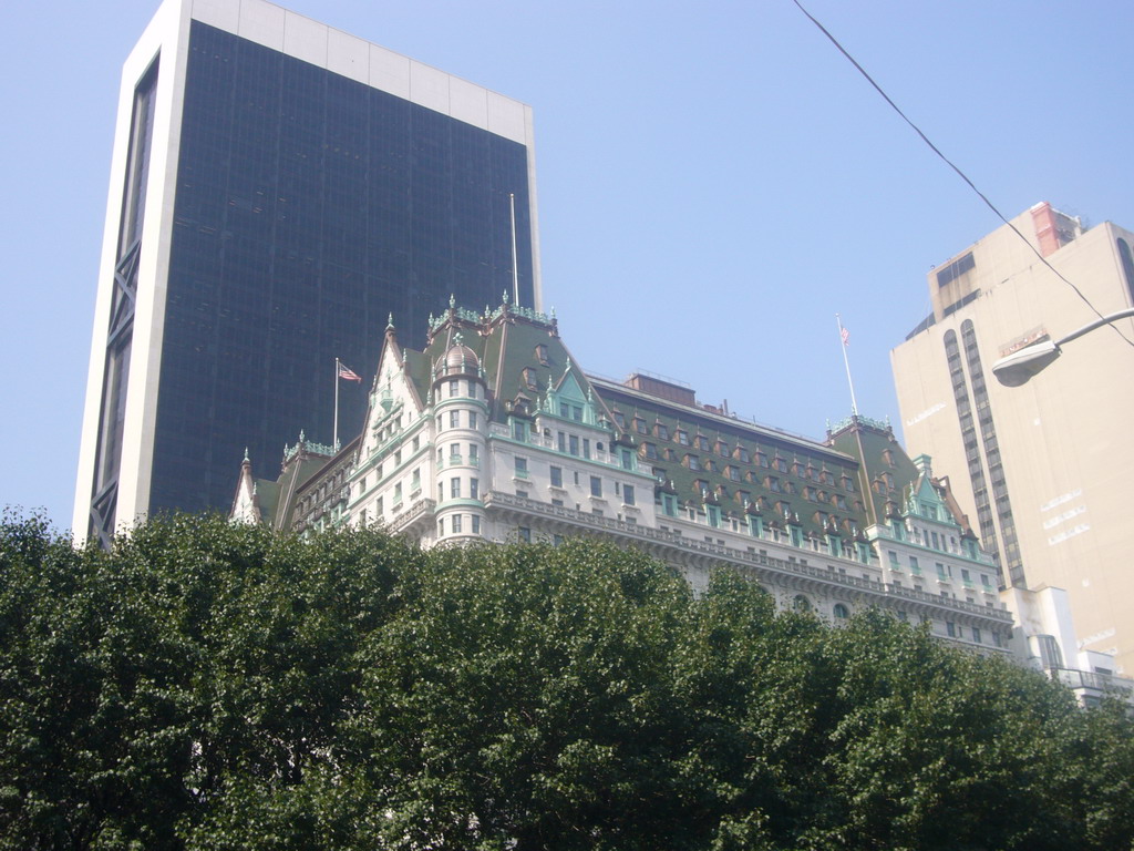 The Plaza Hotel and the Solow Building, from Central Park