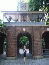 Miaomiao at the Central Park Zoo Clock