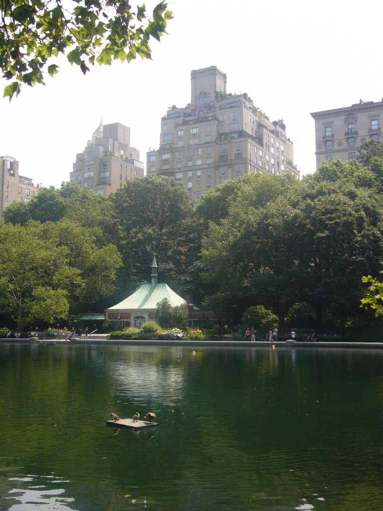 The Conservatory Water at Central Park