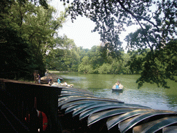 Boats in the Lake in Central Park