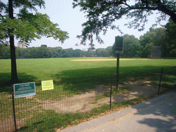 The Great Lawn at Central Park