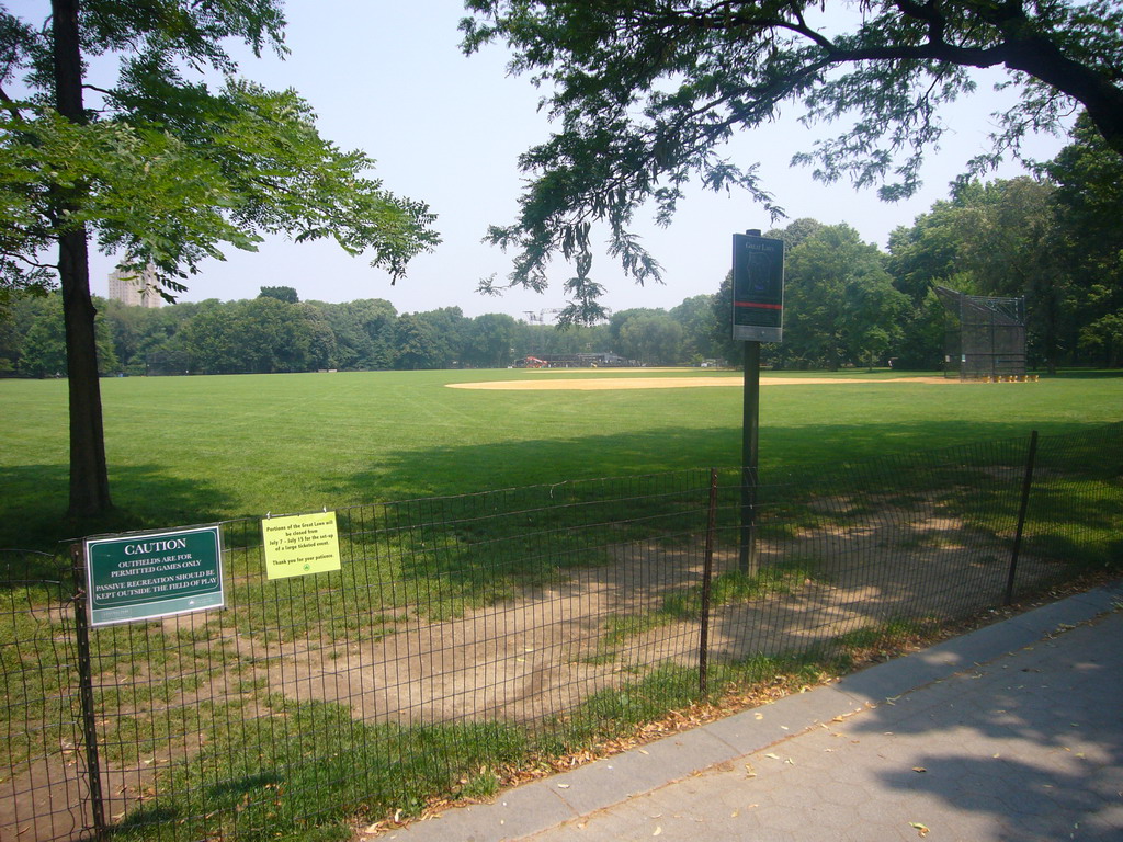 The Great Lawn at Central Park