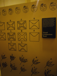 `Visual Comparison Tests`, with explanation, in the Ellis Island Immigration Museum