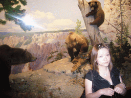 Miaomiao and stuffed bears, in the American Museum of Natural History