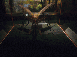 Giant scale model of a musquito, in the American Museum of Natural History