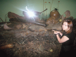 Giant scale model of a worm, in the American Museum of Natural History