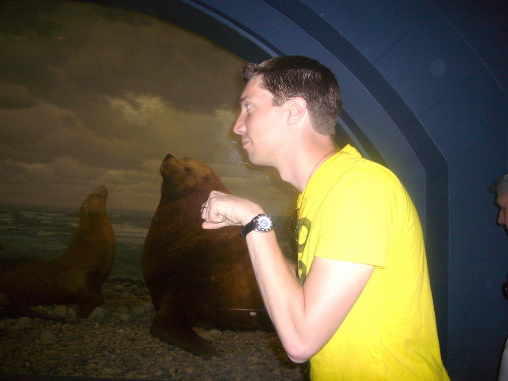 Tim and stuffed seals, in the American Museum of Natural History