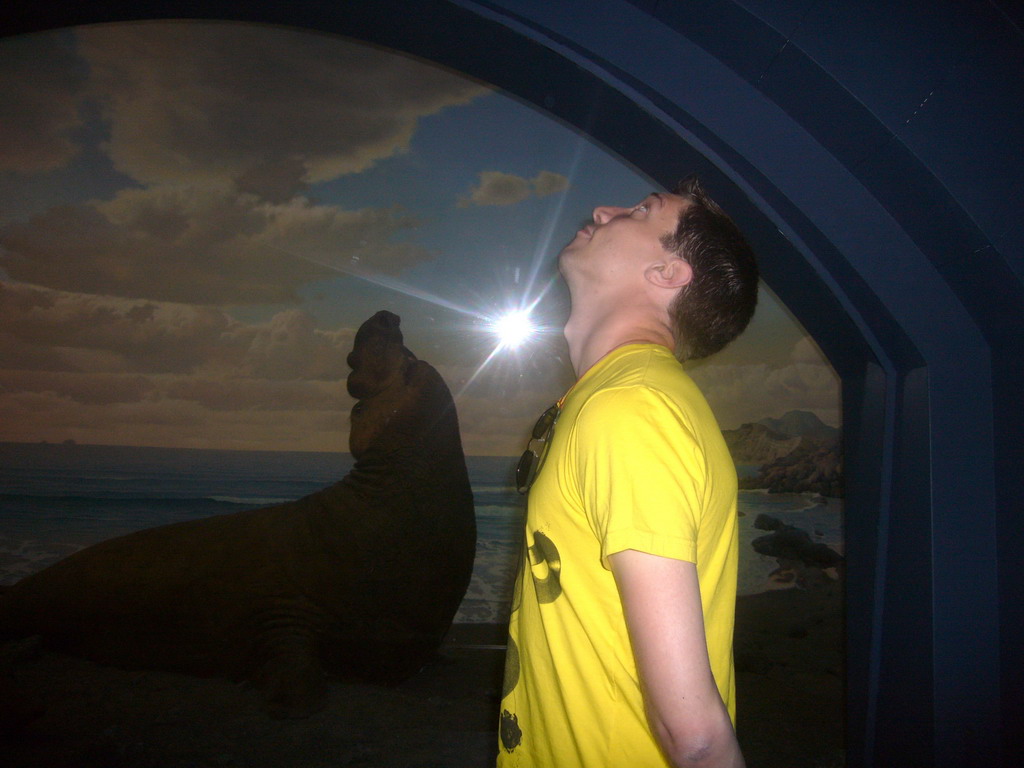 Tim and a walrus model, in the American Museum of Natural History