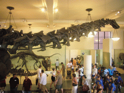 The Hall of Saurischian Dinosaurs, in the American Museum of Natural History