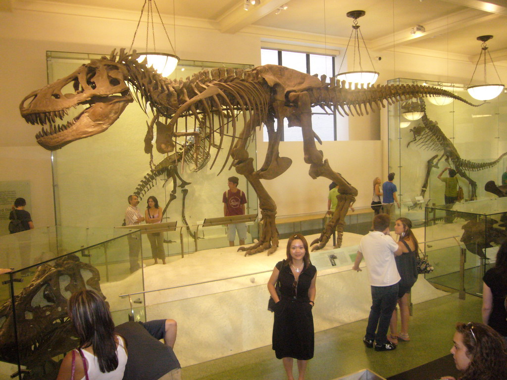 Miaomiao at a skeleton of a Tyrannosaurus Rex, in the Hall of Saurischian Dinosaurs, in the American Museum of Natural History