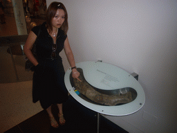 Miaomiao with a model of a Vinctifer fish, in the American Museum of Natural History