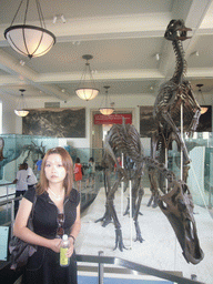 Miaomiao and skeletons in the Hall of Ornithischian Dinosaurs, in the American Museum of Natural History