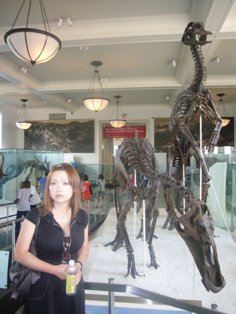 Miaomiao and skeletons in the Hall of Ornithischian Dinosaurs, in the American Museum of Natural History