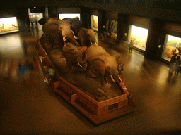 Stuffed elephants, in the Akeley Hall of African Mammals, in the American Museum of Natural History