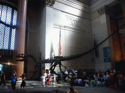 Skeleton of an Allosaurus, in the Theodore Roosevelt Memorial Hall, in the American Museum of Natural History