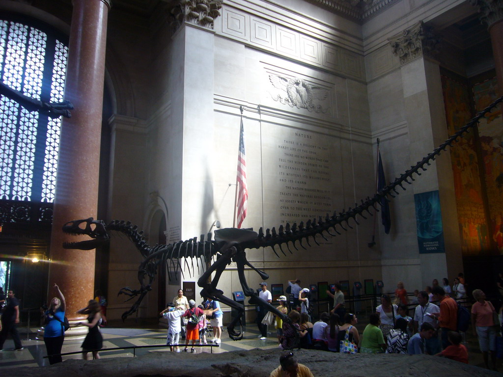 Skeleton of an Allosaurus, in the Theodore Roosevelt Memorial Hall, in the American Museum of Natural History