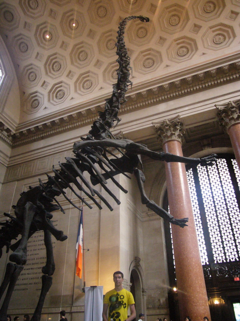 Tim with a skeleton of a Barosaurus, in the Theodore Roosevelt Memorial Hall, in the American Museum of Natural History