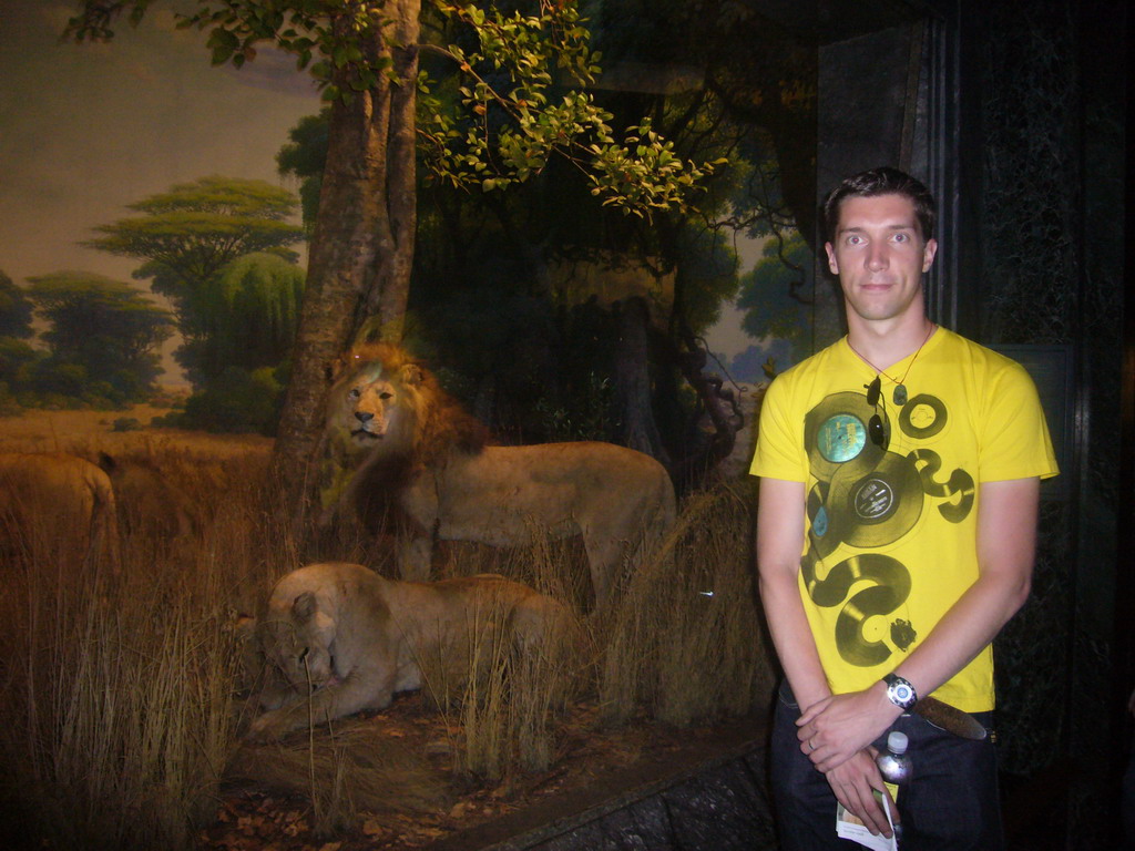Tim with stuffed lions, in the American Museum of Natural History
