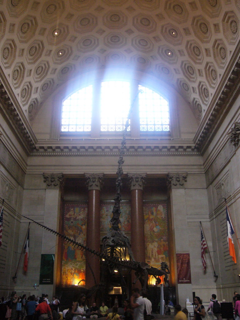 The Theodore Roosevelt Memorial Hall, in the American Museum of Natural History, with skeletons of a Barosaurus and an Allosaurus