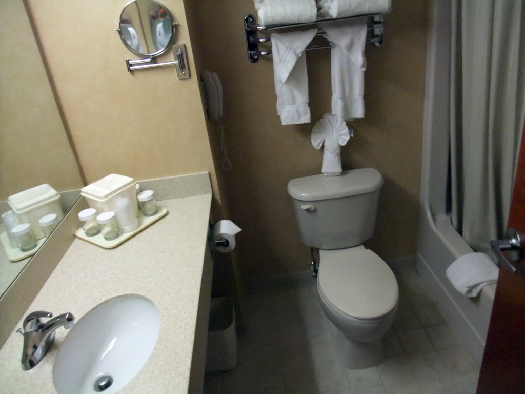 My bathroom in the Comfort Inn & Suites Hotel in Hawthorne