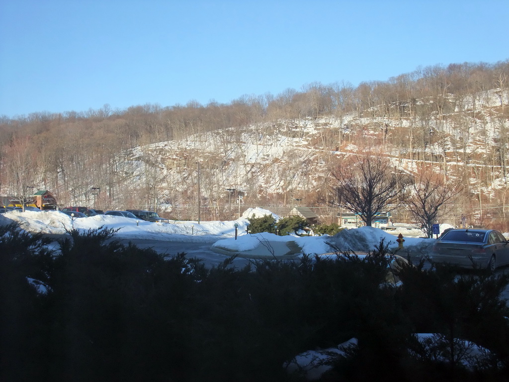 View from my room window in the Comfort Inn & Suites Hotel in Hawthorne