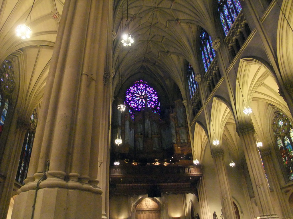 Nave, organ and rose window at Saint Patrick`s Cathedral