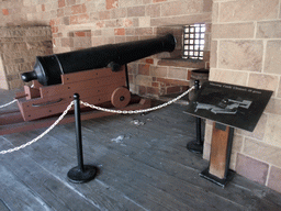 Cannon at Castle Clinton